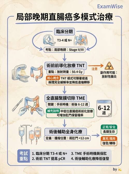專師 - 肺癌與消化道癌 - AI 圖文解析預覽