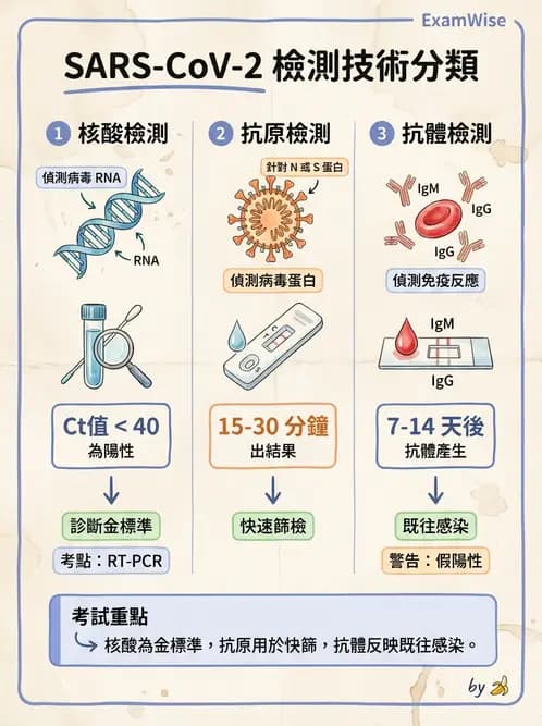 營養 - 血液與免疫 - AI 圖文解析預覽