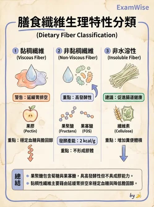 營養 - 醣類結構與膳食纖維 - AI 圖文解析預覽