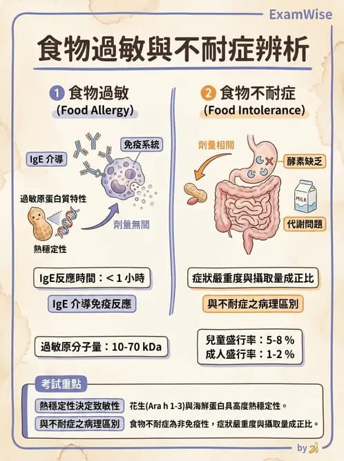 營養 - 當代營養學相關議題 - AI 圖文解析預覽