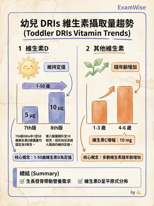 營養 - 兒童青少年與老年營養 - AI 圖文解析預覽