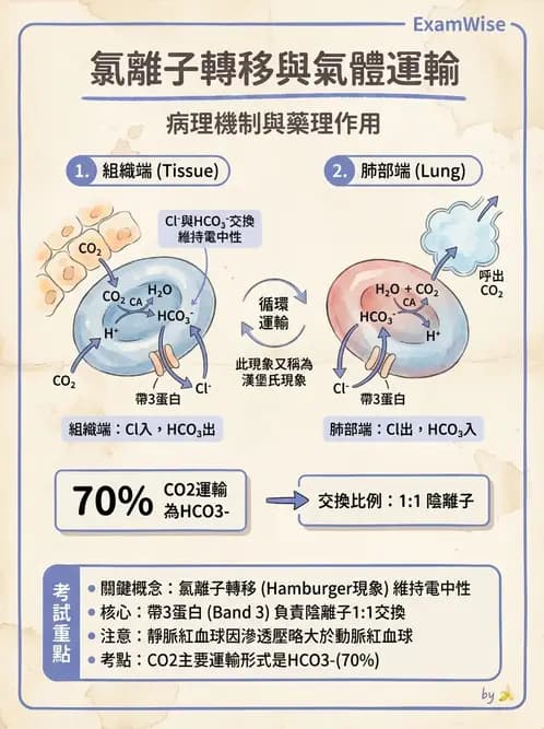 營養 - 巨量礦物質營養素 - AI 圖文解析預覽