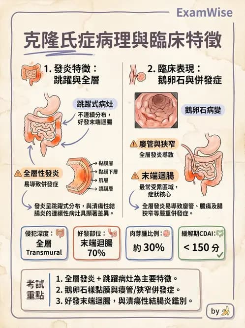 營養 - 腸胃道疾病 - AI 圖文解析預覽