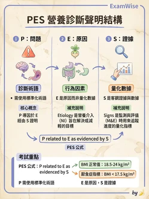 營養 - 體重管理與攝食異常 - AI 圖文解析預覽