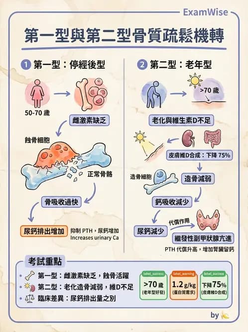 營養 - 骨骼與關節疾病 - AI 圖文解析預覽
