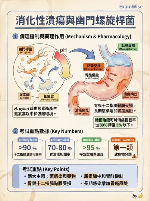 營養 - 腸胃道疾病 - AI 圖文解析預覽