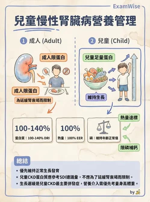營養 - 腎臟疾病飲食治療 - AI 圖文解析預覽