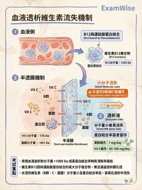 營養 - 透析治療飲食管理 - AI 圖文解析預覽