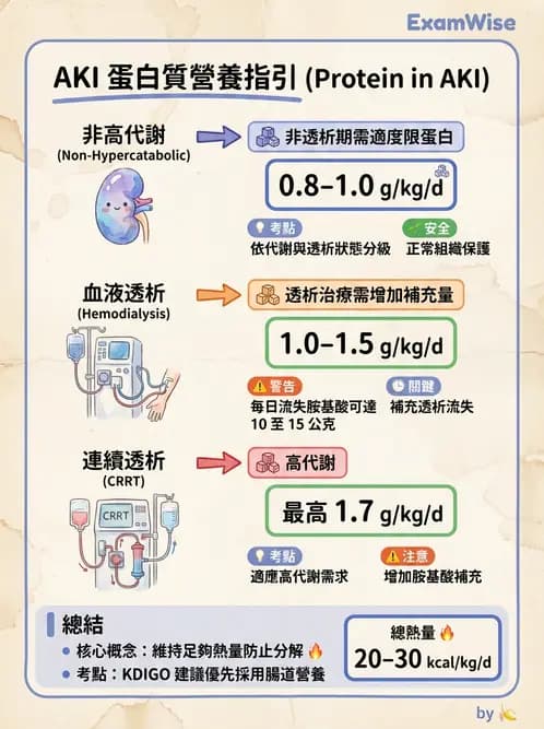 營養 - 腎臟疾病飲食治療 - AI 圖文解析預覽