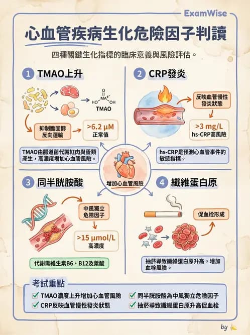 營養 - 心臟衰竭、移植與血脂管理 - AI 圖文解析預覽
