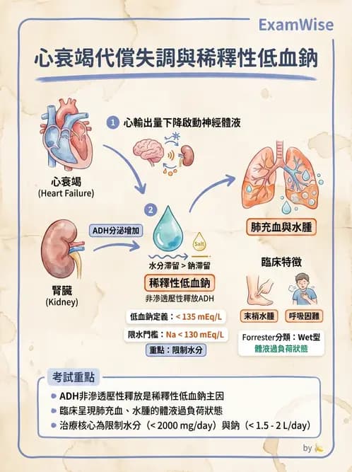 營養 - 心臟衰竭、移植與血脂管理 - AI 圖文解析預覽