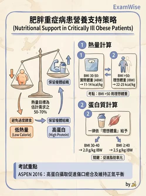 營養 - 重症一般營養照護 - AI 圖文解析預覽