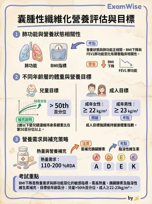 營養 - 呼吸系統疾病 - AI 圖文解析預覽