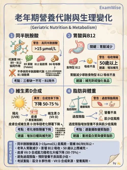 營養 - 老人營養與長期照護 - AI 圖文解析預覽