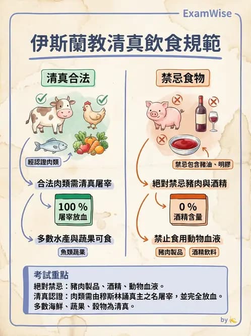 營養 - 機構供膳類型與特殊對象飲食設計 - AI 圖文解析預覽