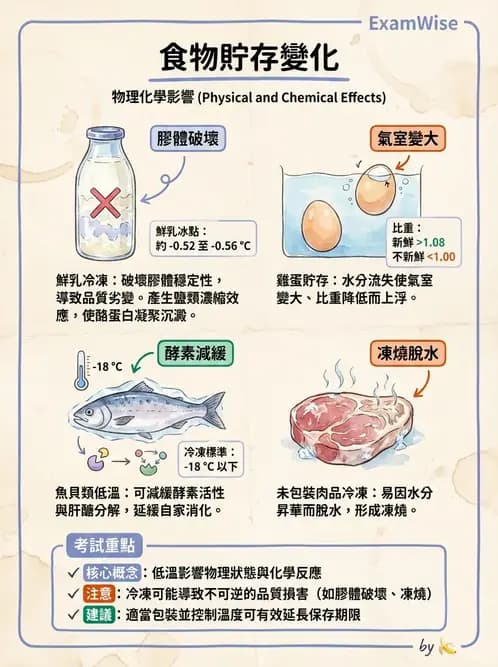 營養 - 庫房管理、食材貯存與盤點 - AI 圖文解析預覽