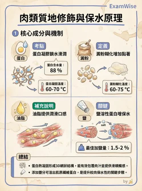 營養 - 動植物性食材製備原理 - AI 圖文解析預覽
