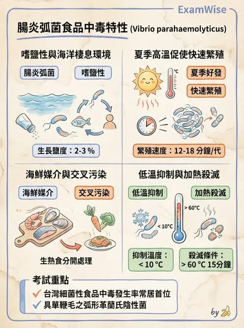 營養 - 食品安全衛生管理 - AI 圖文解析預覽