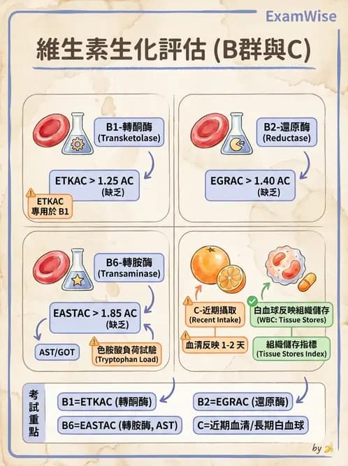 營養 - 生化指標與營養缺乏 - AI 圖文解析預覽