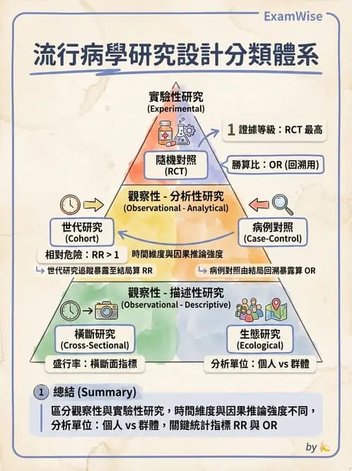 營養 - 流行病學與生物統計 - AI 圖文解析預覽