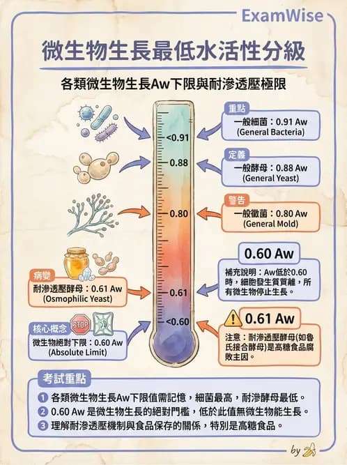 營養 - 食品腐敗微生物學 - AI 圖文解析預覽