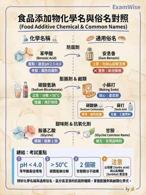 營養 - 食品添加物 - AI 圖文解析預覽