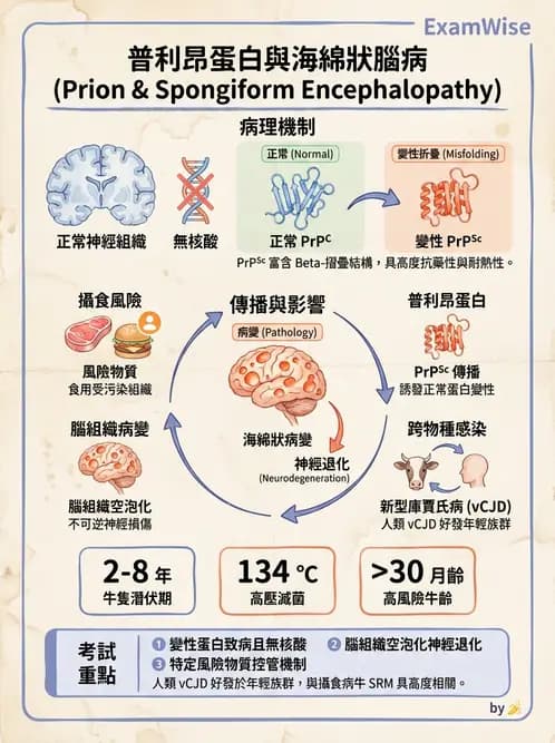 營養 - 生物性污染與寄生蟲 - AI 圖文解析預覽