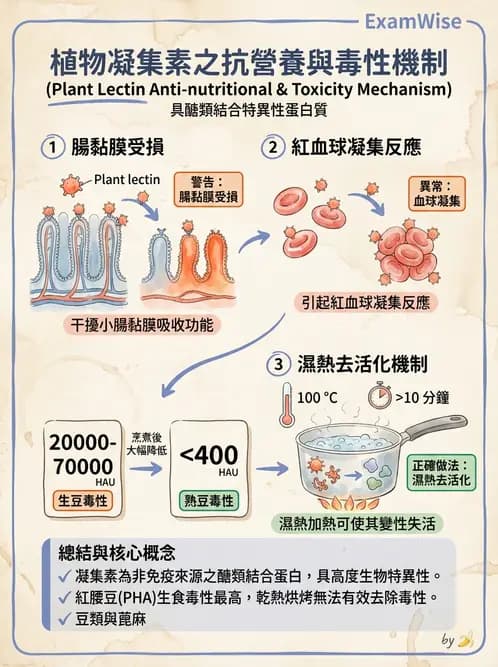 營養 - 天然毒素 - AI 圖文解析預覽