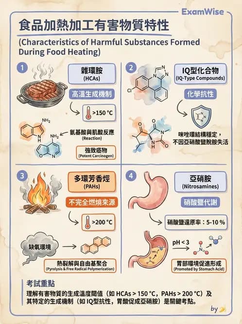 營養 - 化學性危害 - AI 圖文解析預覽