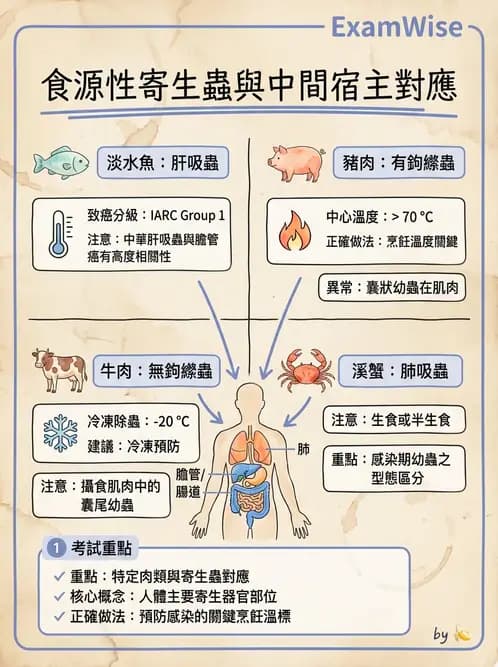 營養 - 生物性污染與寄生蟲 - AI 圖文解析預覽