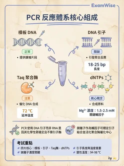 營養 - 核酸與基因表現 - AI 圖文解析預覽