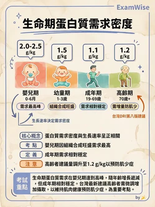 營養 - 蛋白質結構、功能與需求量 - AI 圖文解析預覽