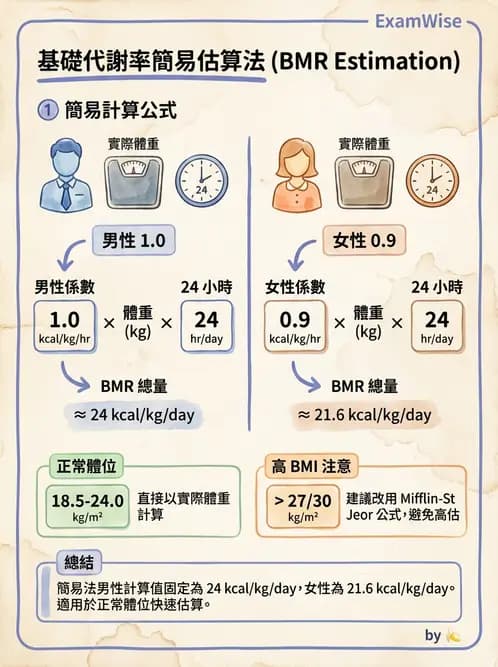 營養 - 能量平衡與食慾控制 - AI 圖文解析預覽