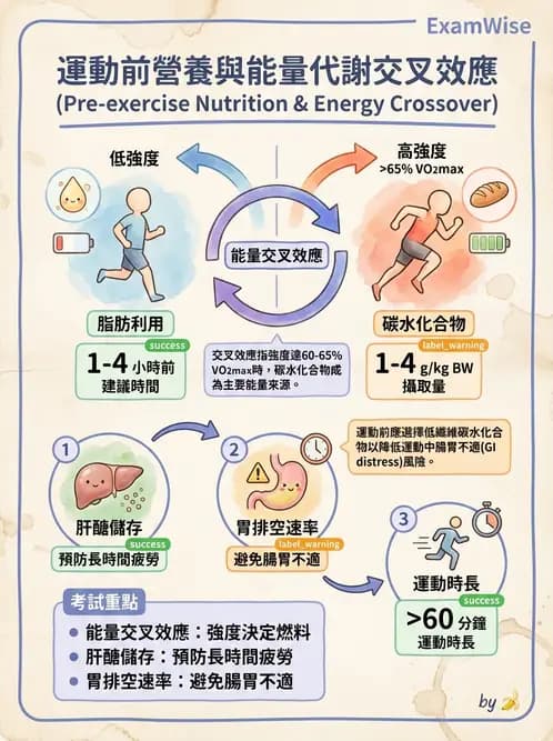 營養 - 當代營養學相關議題 - AI 圖文解析預覽