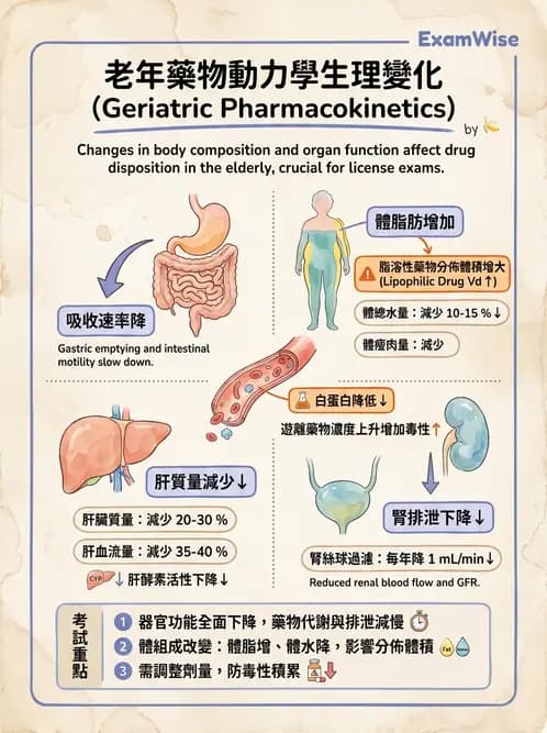 營養 - 藥物與營養素交互作用 - AI 圖文解析預覽