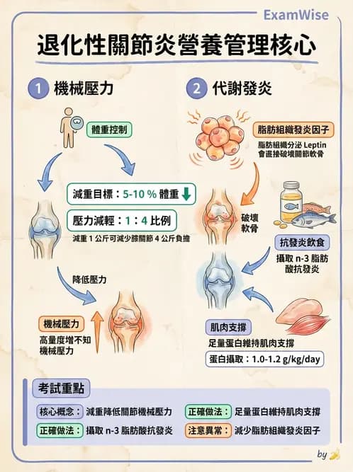 營養 - 骨骼與關節疾病 - AI 圖文解析預覽