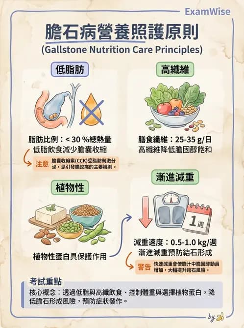 營養 - 肝膽疾病 - AI 圖文解析預覽