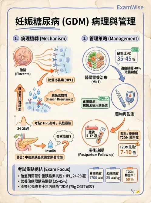 營養 - 糖尿病與代謝症候群 - AI 圖文解析預覽