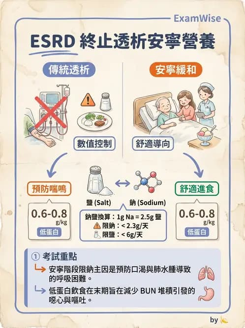 營養 - 透析治療飲食管理 - AI 圖文解析預覽