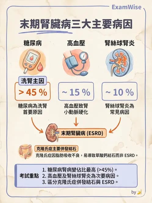 營養 - 腎臟疾病飲食治療 - AI 圖文解析預覽