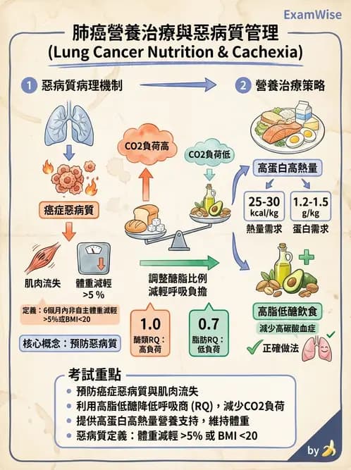 營養 - 癌症營養 - AI 圖文解析預覽