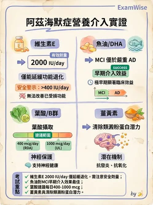 營養 - 老人營養與長期照護 - AI 圖文解析預覽
