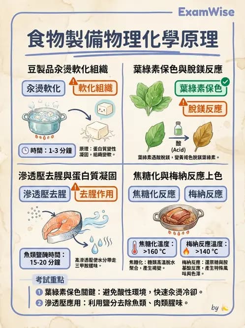 營養 - 動植物性食材製備原理 - AI 圖文解析預覽