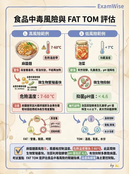 營養 - 食品安全衛生管理 - AI 圖文解析預覽