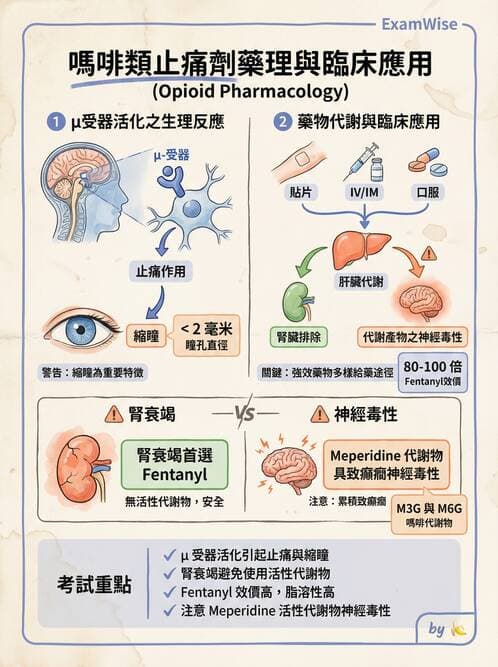 專師 - 術後疼痛控制 - AI 圖文解析預覽
