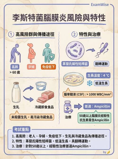 專師 - 中樞神經感染 - AI 圖文解析預覽