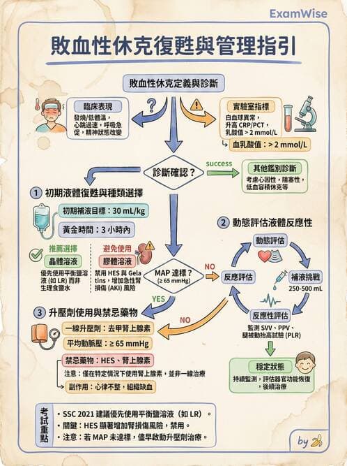 專師 - 敗血症治療與復甦指引 - AI 圖文解析預覽
