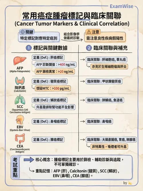 專師 - 腫瘤診斷與分期 - AI 圖文解析預覽