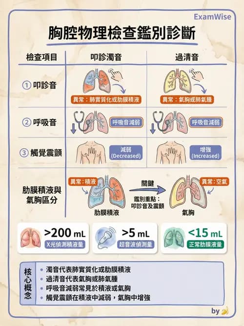 專師 - 肺炎與肺部感染 - AI 圖文解析預覽