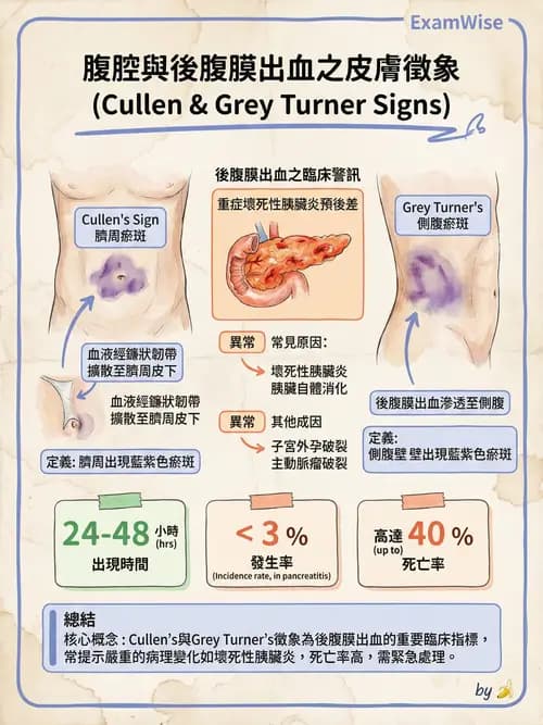 專師 - 膽道與胰臟 - AI 圖文解析預覽